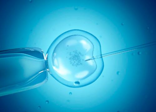 体外受精与体外受精和八胞胎体外受精是一样的。