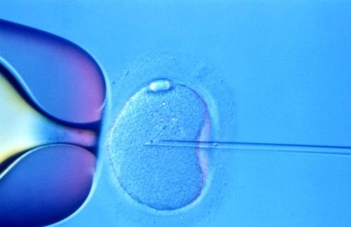 湖南正规二代试管婴儿花费-卵子异常对试管婴儿的影响有多大