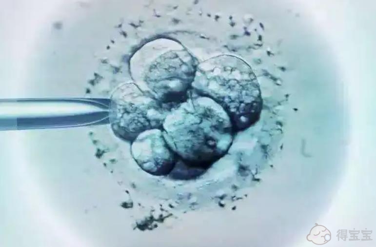 湖南省2022年捐卵试管婴儿中心，附捐卵者选择指南