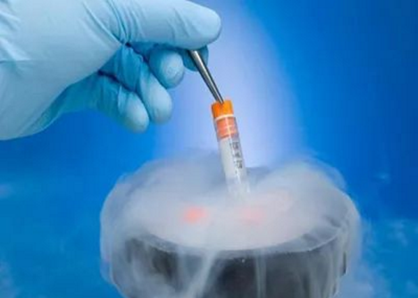兰州供卵试管助孕哪家医院好-试管婴儿专家：新鲜或冷冻胚胎移植--这取决于什么是适合你的