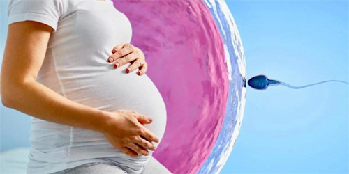 江门助孕龙凤胎生孩子：成都7家做试管婴儿的医院按子宫大小排序! 2023年试管婴儿过程的详细解释，帮助你受孕。