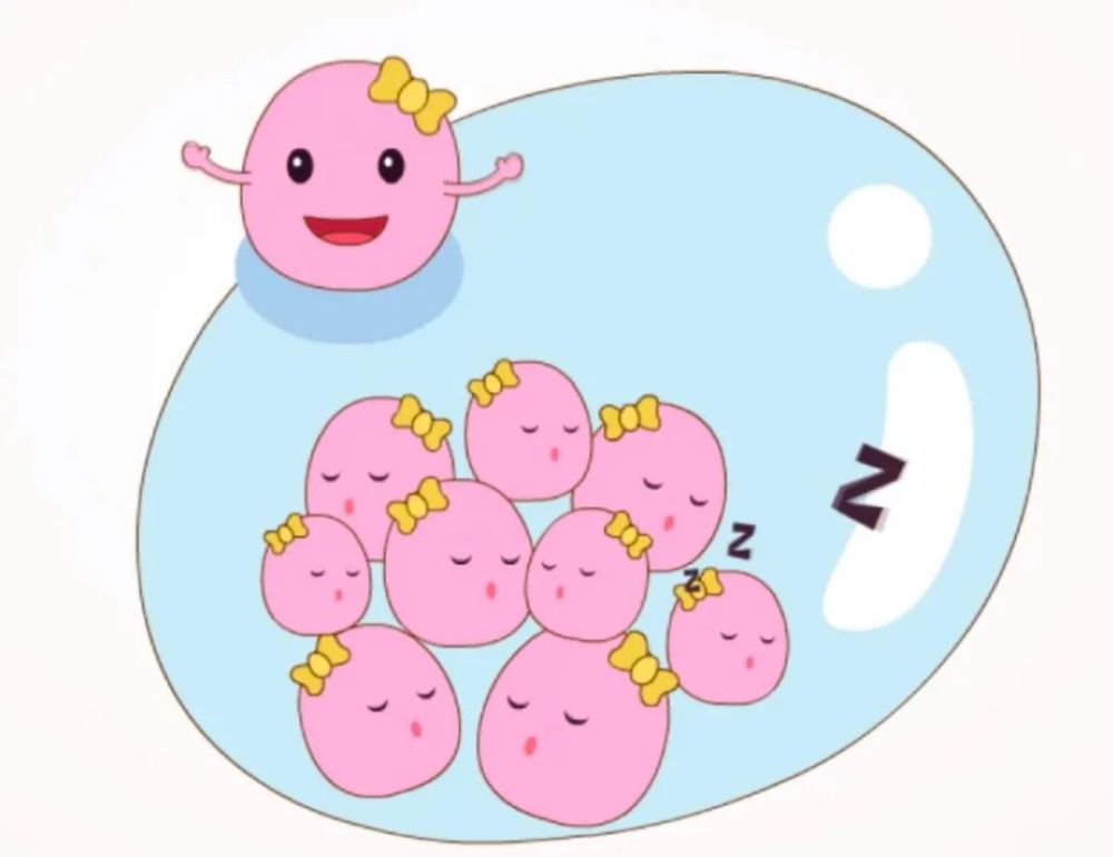 青岛捐卵咨询：秦皇岛最好的试管婴儿医院，哪家试管婴儿成功率最高!