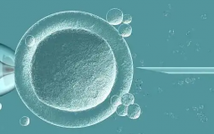澳门供卵试管助孕：许多患者在试管婴儿