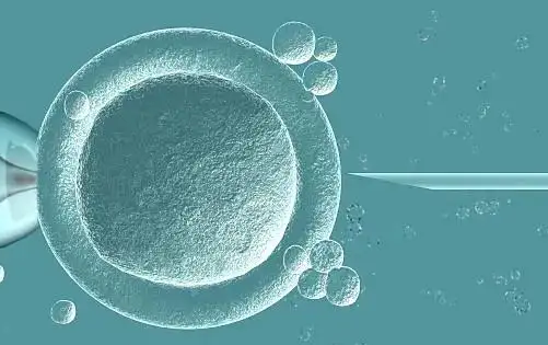 澳门供卵试管助孕：许多患者在试管婴儿中选择了冷冻胚胎移植。在作出决定之前，了解一下这些方面的情况还不算太晚